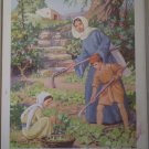 Things That Grow Providence Lithograph Vintage Ayer print