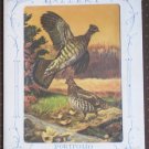 Ideals Gallery Portfolio of Prints Birds Maniscalco Others Lot 4