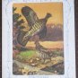 Ideals Gallery Portfolio of Prints Birds Maniscalco Others Lot 4