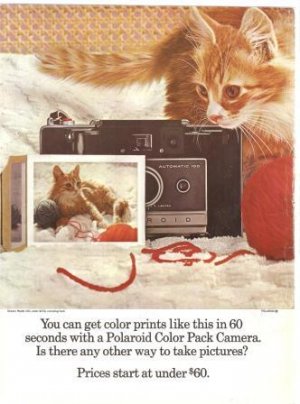 Polaroid Color Pack Camera Cat Kitten Automatic 100 Vintage Ad 1966