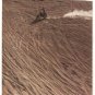 Dirt Motorbikes Dune Buggies Threaten Deserts David Sheridan 10p Article 1978
