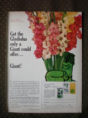 Gladiolus Green Giant Glads Vegetables Vintage Ad 1968