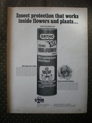 Ortho Systemic Rose Flower Care Chevron Chemical Co 1968 Vintage Ad