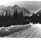 Vintage Postcard Morskie Oko Tatry Poland Road Droga do Moskiego Oka