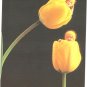 Anne Geddes Postcard 1995 605-016 Baby Yellow Tulips 4x6