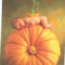 Anne Geddes Postcard 1995 605-015 Baby Pumpkin 4x6