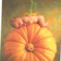 Anne Geddes Postcard 1995 605-015 Baby Pumpkin 4x6