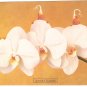 Anne Geddes Postcard 1995 605-095 Baby Phalaenopsis Orchid Flower 4x6