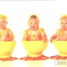 Anne Geddes Postcard 1995 605-019 Baby Ducklings 4x6
