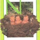 Anne Geddes Postcard 1995 605-067 N is for Nest Baby 4x6