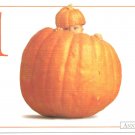 Anne Geddes Postcard 1995 605-080 1 Pumpkin Baby 4x6