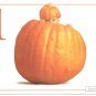 Anne Geddes Postcard 1995 605-080 1 Pumpkin Baby 4x6