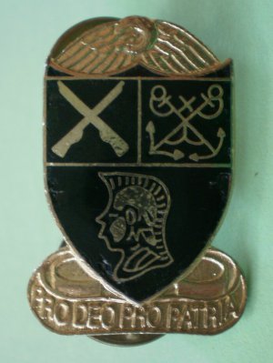 Pro Deo Pro Patria Pin Shield Musket Sword Soldier Goldtone Metal
