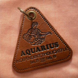 Aquarius Leather Key Chain Ring Zodiac Vintage Keychain