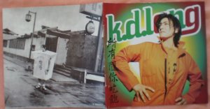 Insert Cover for K.D. Lang All You Can Eat No CD