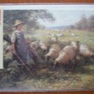 Bucentaur Gallery Best Wishes Note Card Shepherd's Daughter Blacklock