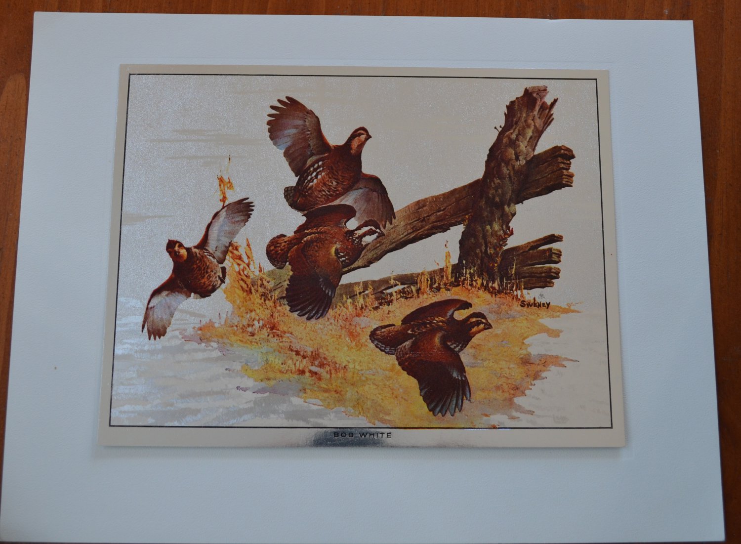 Fred Sweney Bobwhite Quail Foil Print Vintage Bob White Bird