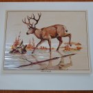 Fred Sweney Mule Deer Foil Print Vintage Animal