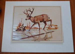 Fred Sweney Mule Deer Foil Print Vintage Animal