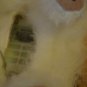 Furreal Dog White Brown Gray Spots 2008 Hasbro Bark Walk Fur Real Puppy