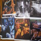 Cavalia Horse Lot 21 Print Photographer Folder