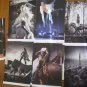 Cavalia Horse Lot 21 Print Photographer Folder