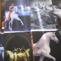 Cavalia Horse Lot 21 Print Photographer Folder