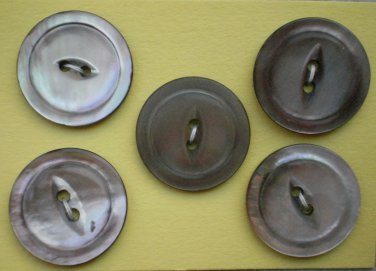 Abalone Cat-eye Buttons Shell Lot 5 2-hole Vintage