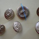 Waterbury Co Brass Buttons Sheep W21 Vintage Lot 7