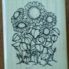 DOTS Small Sunflower Love Rubber Stamp H201 Wood Mounted Clean D.O.T.S. Flowers