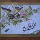 Cibils Fluid Extract of Beef Trading Trade Card Vintage Antique