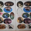 Current Stickers Cat Photographs Kittens 2 sheets Loose 1991 16746-5 Kitties