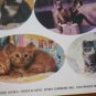 Current Stickers Cat Photographs Kittens 2 sheets Loose 1991 16746-5 Kitties