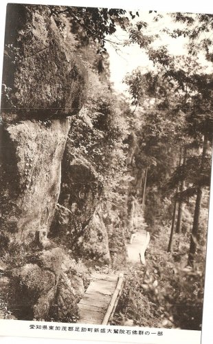 Vintage Postcard Japan Forest Path Woods Forest