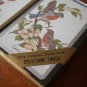 Congress Playing Cards Birds Cardinal Eastern Bluebird Cel-U-Tone Finish 2 decks