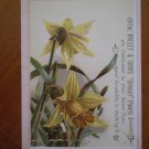 Hallet Davis Upright Pianos Trading Trade Card