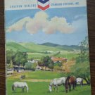 Los Angeles Chevron Standard Men Road Map Vintage