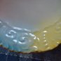 Tressemanes & Vogt Limoges T&V Bread Plate Pastel 6in Bread Vintage Paisley 6"