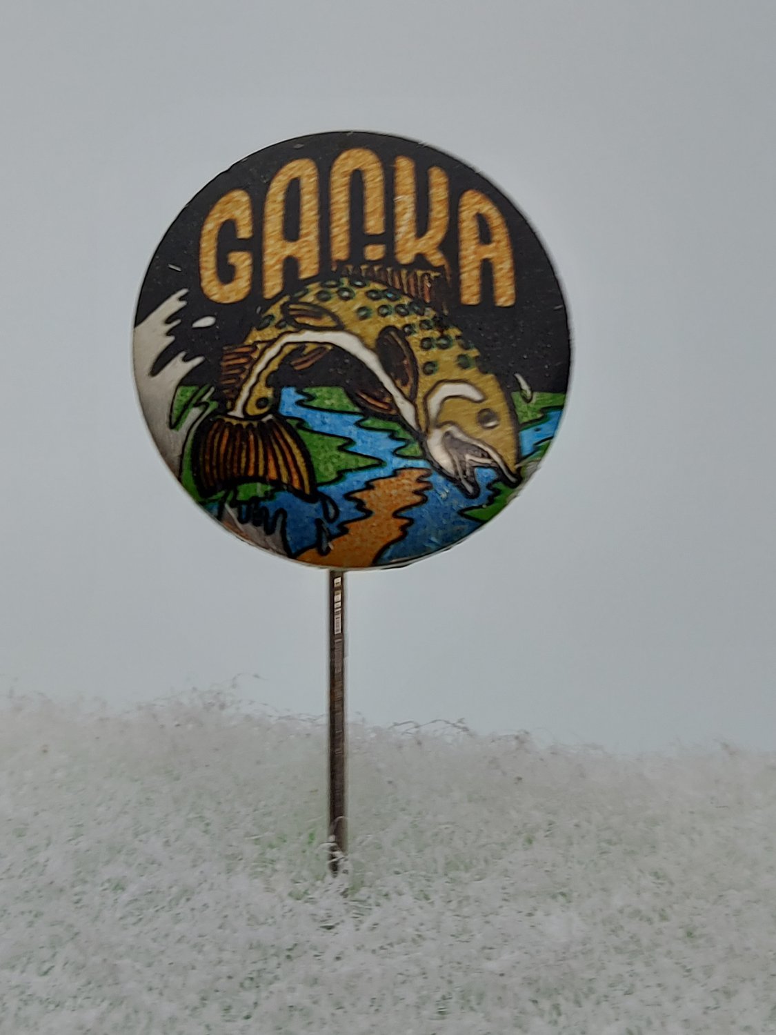 GACKA, Croatia Four-Fish Fishing, Seasons River, Croatian Antique Pin, Badge, Badge!&Acirc;&nbsp;