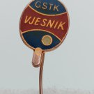 Table Tennis, Croatia Club VJESNIK Zagreb GSTK, vintage pin badge, lapel !