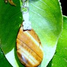 Teardrop tigereye earring