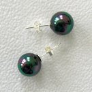 10mm Tahitian Black South Sea Shell Pearl Earrings 10mm Tahitian Black South Sea Shell Pearl Earrings