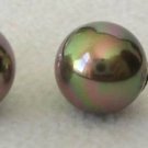 10mm Bronze South Sea Shell Pearl Stud Earrings 10mm Bronze South Sea Shell Pearl Stud Earrings