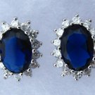 Royal Blue & White CZ Earrings Royal Blue & White CZ Earrings