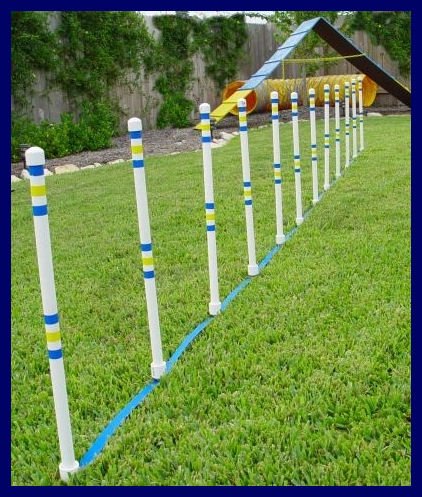 Weave Poles - Dog Agility Equipment - Set Of 12