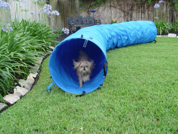 Dog Agility Tunnel 15' x 24" Dog Agility Equipment