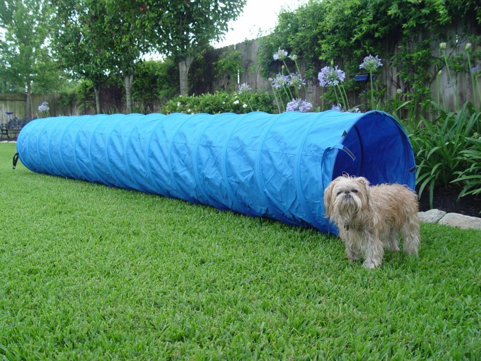 Dog Agility Tunnel 15' x 24" Dog Agility Equipment