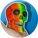 Rainbow Shimmer Skull - Glows in Blacklight!