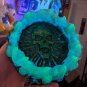 Glow in the Dark Skull Ashtray (Blue to Green Resin) Skeletons and fire