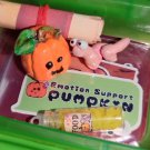 Your Pocket Pumpkin Patch, emotional support BFF - FIDGET TOY w/ 2 characters